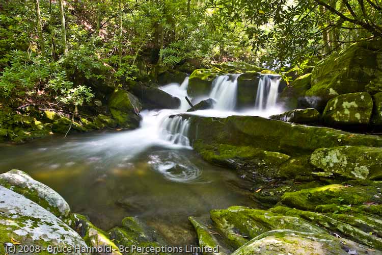 RECLUSE FALLS